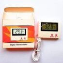 Digital thermometer
