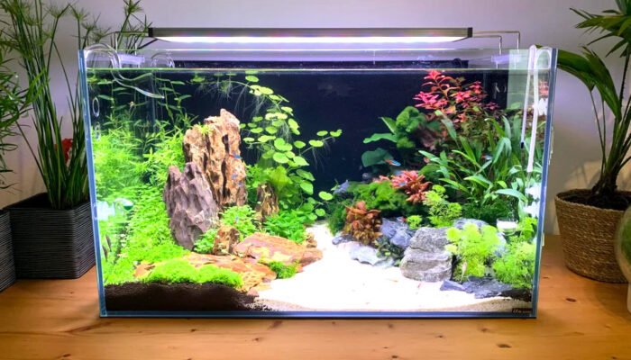 View of Complete 37 Gallon Aquarium Setup w/ Stand, Fish & Accessori