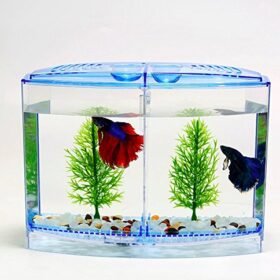 Taiyo Betta Fish Fiber Glass Tank