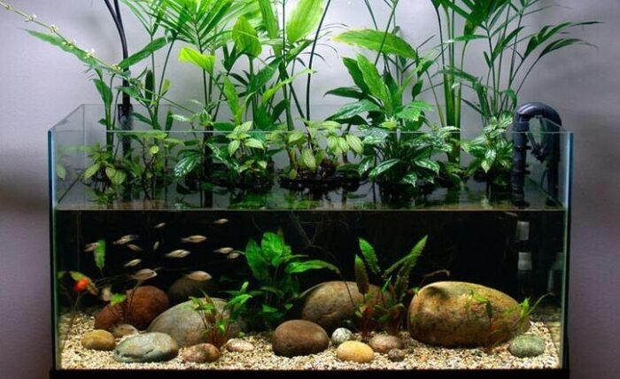 Gallery image with a fresh perspective