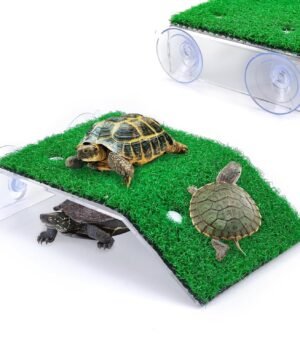 Turtle stand Green Grass Adjustable Easy to Set