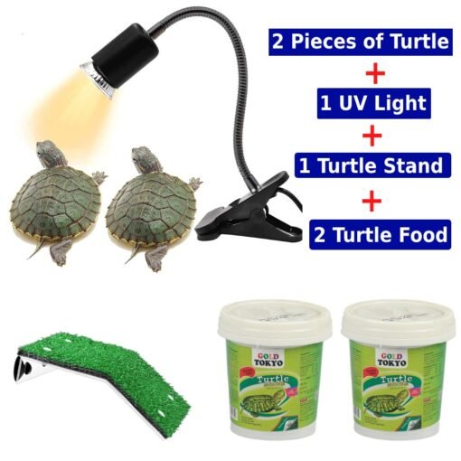 Combo Offer Turtle UV Light Turtle Stand and Food